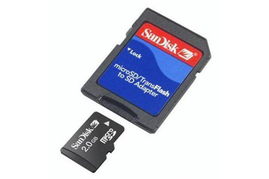 sand disk,Understanding the Sandisk Brand