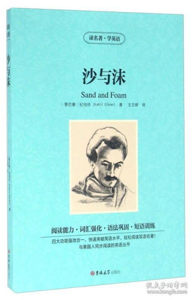 gibran sand and foam,Gibran Sand and Foam: A Detailed Multidimensional Introduction