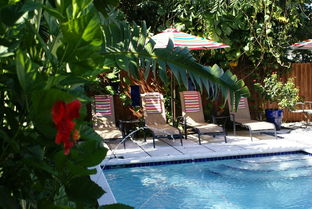 island sands inn wilton manors,Island Sands Inn Wilton Manors: A Detailed Overview