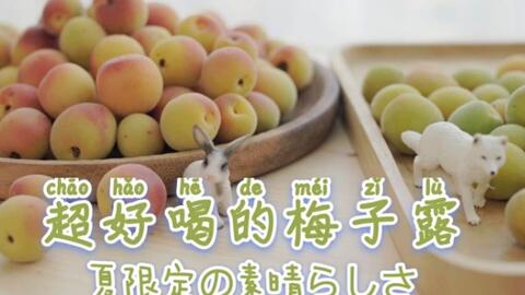 sand plum jelly,Sand Plum Jelly: A Delightful Treat to Explore