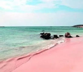 pink sand beach in bahamas,Pink Sand Beach in Bahamas: A Multidimensional Paradise