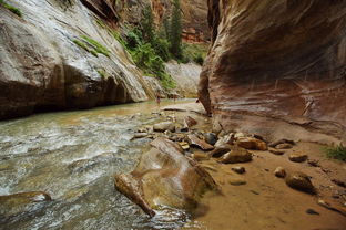 sand bench trail zion national park,Sand Bench Trail: A Detailed Guide to Zion National Park’s Hidden Gem