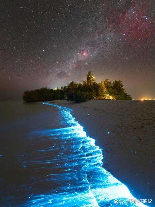 blue sand beaches,Blue Sand Beaches: A Unique and Enchanting Experience