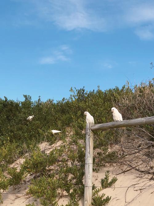 coral sand dunes atv rentals,Coral Sand Dunes ATV Rentals: An Unforgettable Adventure Awaits