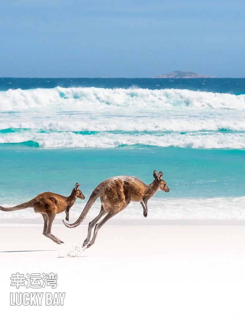 which beach has white sand in mallorca,Which Beach Has White Sand in Mallorca?