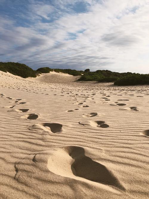 indiana sand dunes cabins,Indiana Sand Dunes Cabins: A Unique Experience Awaits