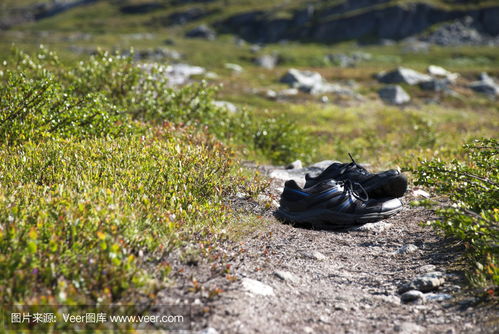 shoes walking on sand,Shoes Walking on Sand: A Detailed Exploration