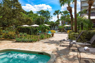 sand lake orlando hotels,Sand Lake Orlando Hotels: Your Ultimate Guide to Accommodation Excellence