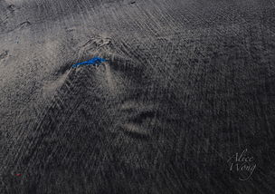 heart in beach sand,Heart in Beach Sand: A Unique and Meaningful Keepsake