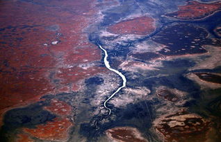 australia sand dunes,Australia Sand Dunes: A Dazzling Desert Landscape