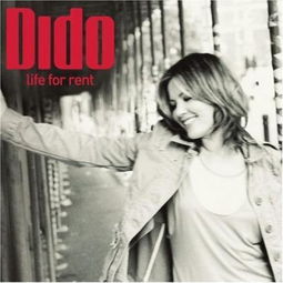 Dido shoes sand,Dido Shoes Sand: A Comprehensive Guide