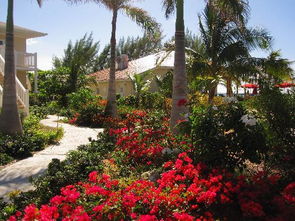 white sands resort jamaica,White Sands Resort Jamaica: A Paradise Awaits Your Arrival