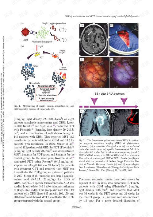 brain sand,Brain Sand: A Revolutionary Concept in Cognitive Enhancement