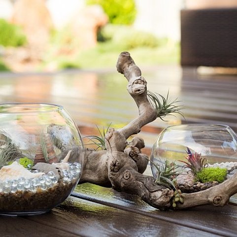 sand terrarium ideas,Sand Terrarium Ideas: Crafting a Miniature Oasis