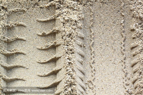 snake tracks in sand,Snake Tracks in Sand: A Detailed Exploration