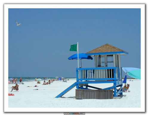 sand key park beach florida,Sand Key Park Beach, Florida: A Paradise Awaits Your Discovery