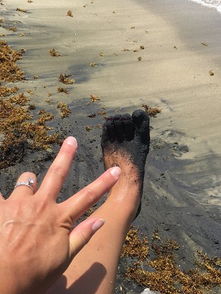 puerto rico black sand beach,Discover Puerto Rico’s Black Sand Beach: A Unique and Enchanting Experience