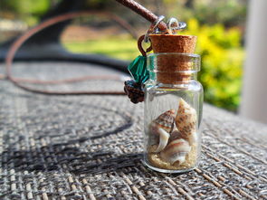 souvenir sand bottle,Discover the Charm of Souvenir Sand Bottle: A Detailed Guide