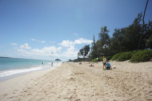 white sand beach hawaii,Location and Accessibility