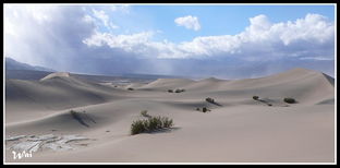 moab utah sand dunes,Moab Utah Sand Dunes: A Diverse Desert Landscape Awaits You