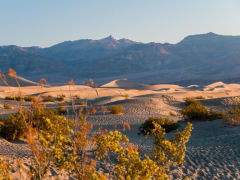 sand flat campground,Sand Flat Campground: A Comprehensive Guide