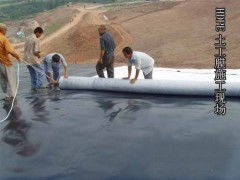 geotextile sand additive,Understanding Geotextile Sand Additive