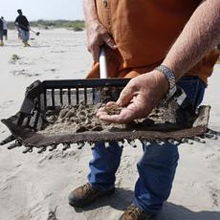 oil spill sand,Understanding Oil Spill Sand