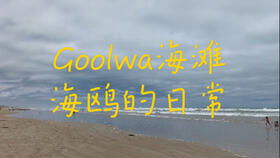 sand writers goolwa,Sand Writers Goolwa: A Detailed Multidimensional Introduction