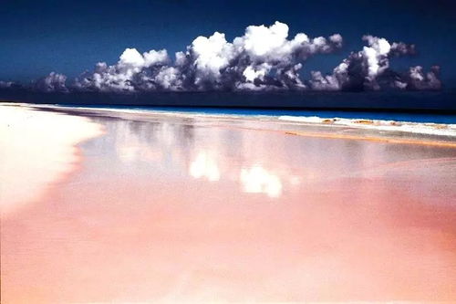 pink sand beach mindanao,Pink Sand Beach Mindanao: A Multidimensional Paradise Awaits You