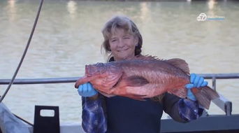 baked sand dabs,Baked Sand Dabs: A Culinary Delight You Can’t Miss