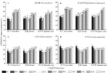 sand stream effects,Sand Stream Effects: A Detailed Multidimensional Overview